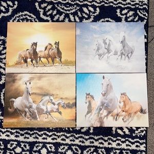 4 16’ by 12’ horse picture frames